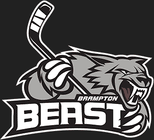 Brampton Beast Hockey Athletic Therapist
